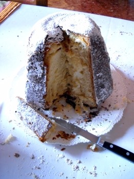 pandoro11