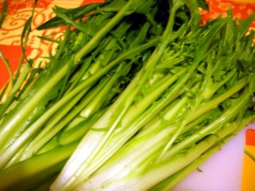 puntarelle01