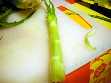 puntarelle02