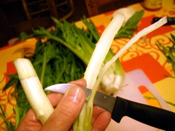 puntarelle03