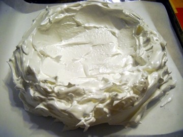 pavlova01