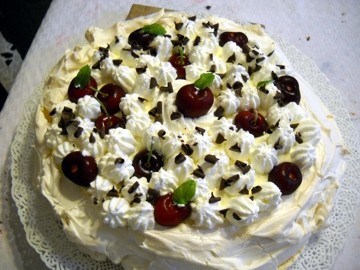 pavlova02