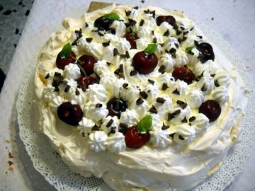 pavlova03