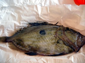 cenaprima01