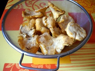 gnocchipro02