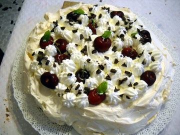 pavlova03